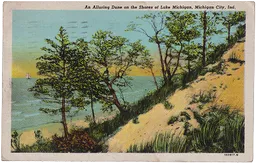 Postcard 049
