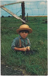Postcard 065